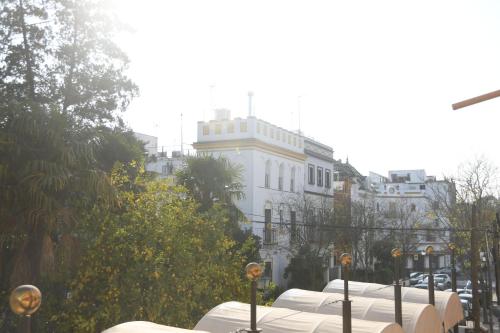 Suite Brasil Sevilla