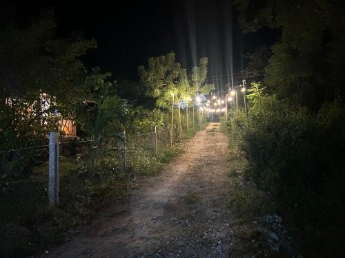 Dwarf Guest House Dwarf Guest House