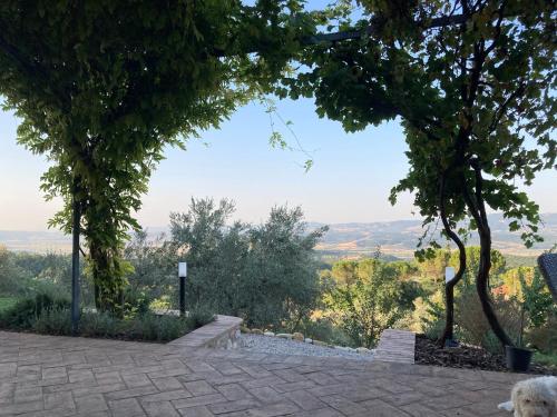  Vesper - Casale con piscina - Ad Galli Cantum, Unterkunft in Città della Pieve