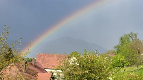 Appartement douillet avec vue sur les montagnes in Fouchy