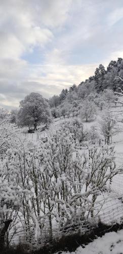 Appartement douillet avec vue sur les montagnes in Fouchy