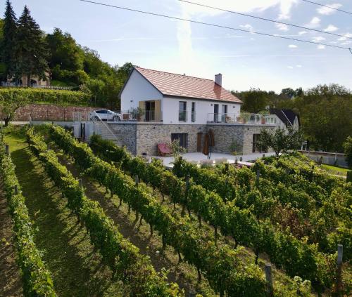 Rábai Katalin Borászat és Vendégház (Rabai Katalin Boraszat es Vendeghaz) in Dunaszentmiklos