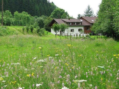 La Scierie - Location saisonnière - Lubine