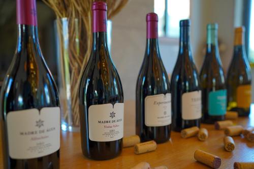 Madre De Água Hotel Rural de Charme - image 9