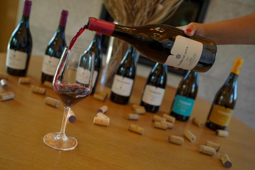 Madre De Água Hotel Rural de Charme - image 3