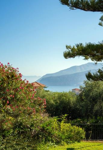 Grand Hotel Vesuvio - image 6