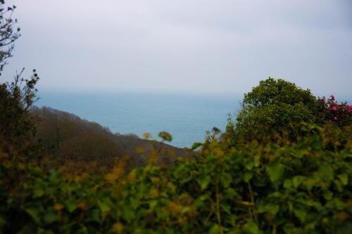 Ümbrus, 3 bedroom stunning house with garden and amazing sea views in Strete