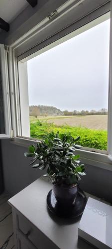 Belle maison de vacances entre Saint-Malo et Mont-Saint-Michel. Le Clos Fleuri