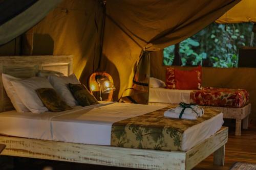 505634346 Colina Secreta - Glamping and Villas