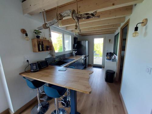 virtuve, La Cabane de Nina, cottage chaleureux in Plassac