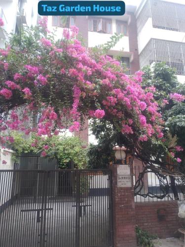 Taz Garden House – Dhaka, NY