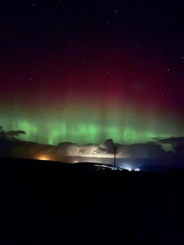 Peedie Cott Self-Catering, Orkney