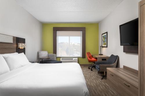 Holiday Inn Express Hotel & Suites Chattanooga-Lookout Mountain