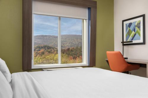 Holiday Inn Express Hotel & Suites Chattanooga-Lookout Mountain