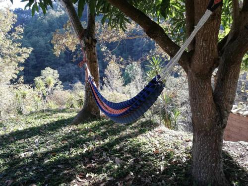 Ecolodge Guancascos, cabaña para 16 personas al pie del PN Celaque