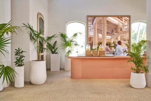 505663216 LUX* Belle Mare Resort & Villas