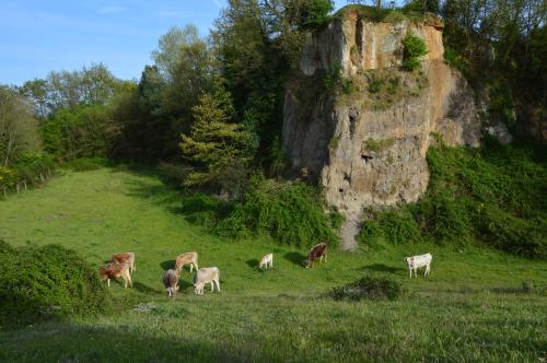 Fattoria Lucciano