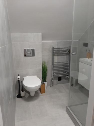 Izery Apartamenty, Szklarska Poręba (zdjęcie 4)