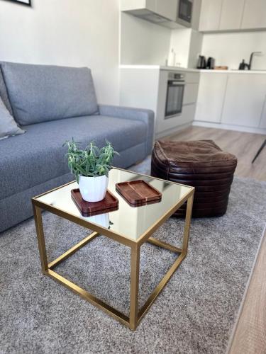 Apartmán s klimatizáciou a balkónom pri letisku BTS, Bratislava (fotografie 5)