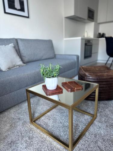 Apartmán s klimatizáciou a balkónom pri letisku BTS, Bratislava (fotografie 10)