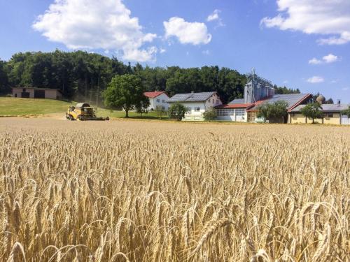 Hof am Horn - Fewos in der Natur