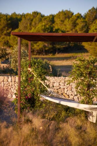Finca Sestelrica - image 13