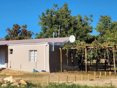 . Klipspringer Clanwilliam