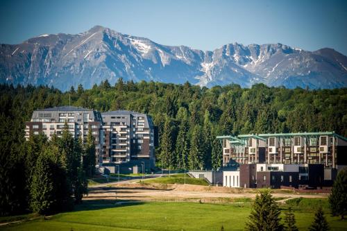 Pine Woods Apartment A28 in Silver Mountain in Пояна Брашов