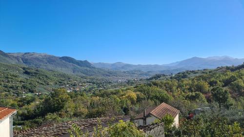  La collina degli ulivi in Conocchia