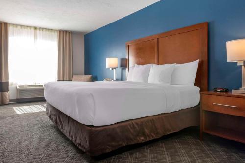 1 king bed