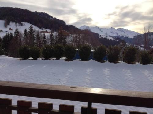 La Cascade: Appartement 4 personnes - Apartment - Le Grand Bornand