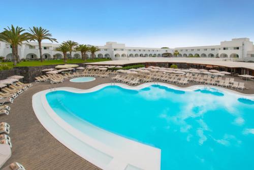 Relaxia Olivina - image 2