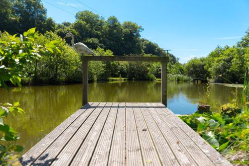 Hotelli välisilme, Lake view Cottage at Lower Aylescott in West Down