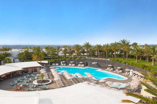 Relaxia Olivina - image 5