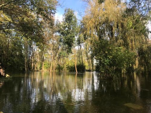 Ancien moulin à eau sur la Seugne