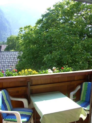 View, Haus Alpenrose Obertraun in Obertraun