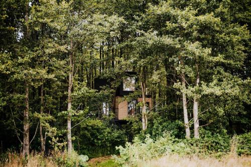 Dziki Las - domki na drzewach - Apartment - Miłomłyn
