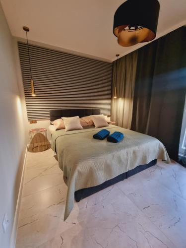 Apartament Masarska, Kraków