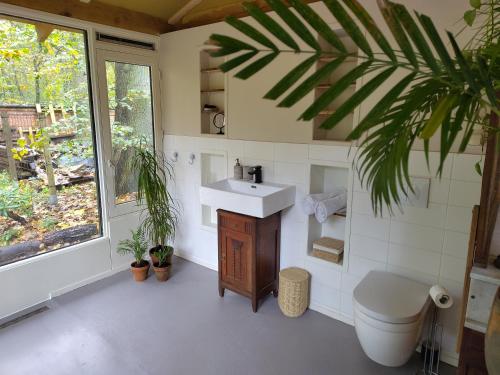  Hofjes Tuinkamer in Putte