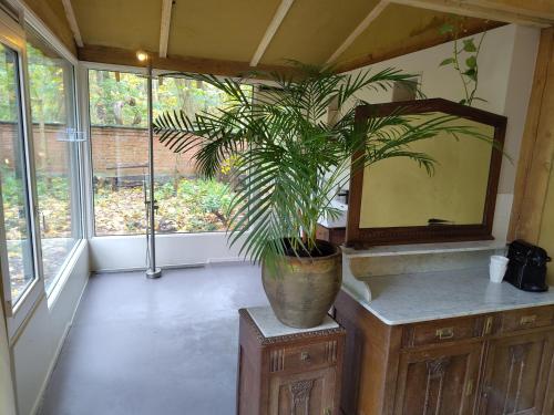  Hofjes Tuinkamer in Putte