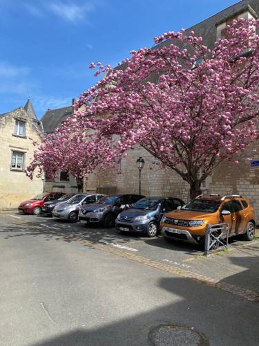 Appartement Cosy avec vue sur le château - Location saisonnière - Chinon