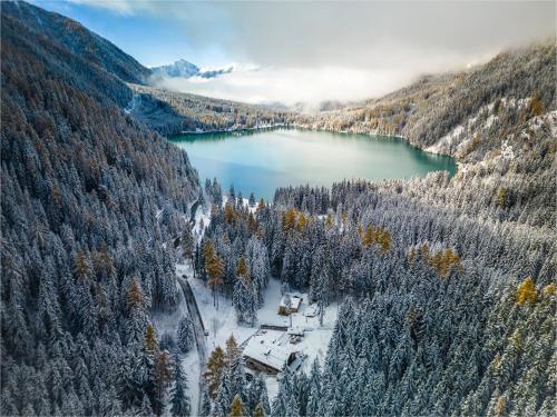 Enzianhütte gîte à louer Malga dei Dossi