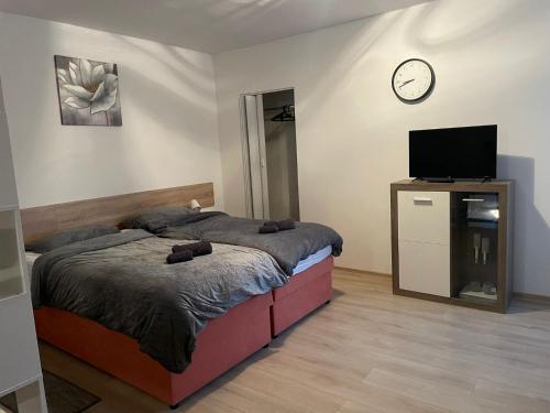 Studio apartman Happiness in Ždralovi