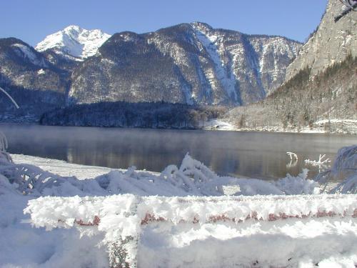 Surrounding environment, Haus Alpenrose Obertraun in Obertraun