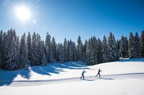 Superbe appartement au pied des pistes -Le chamois