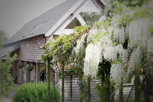 Acorn Barn in Bow