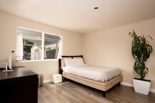 Lovely Studio in Mid-City near Koreatown in Los Angeles, USA