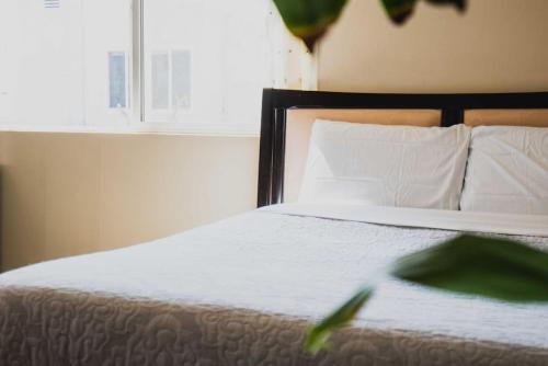 Lovely Studio in Mid-City near Koreatown in Los Angeles, USA