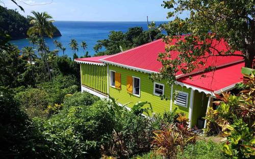 Exterior view, Mango Lodge Villa in Portsmouth