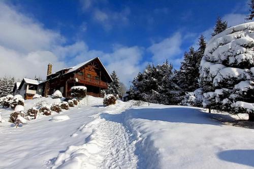 Montebello Colibita - Chalet - Colibiţa